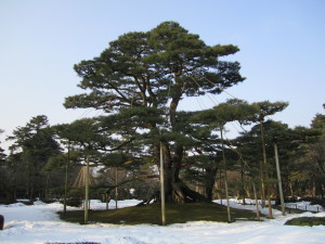 兼六園 兼六園